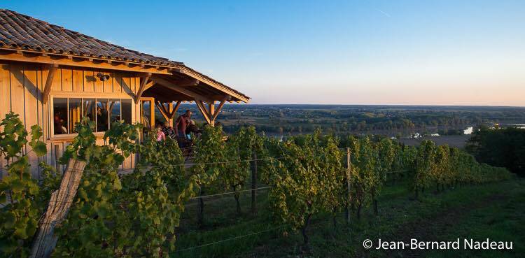 la cabane dans les vignes Tabanac