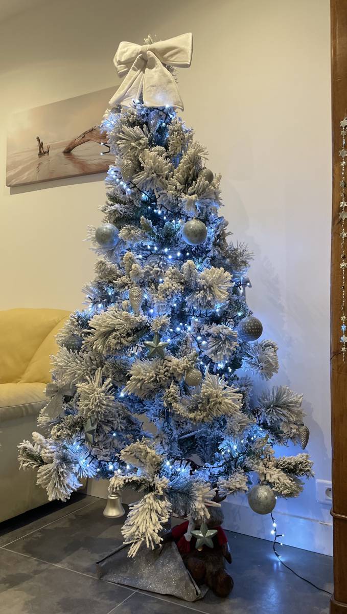 Joyeuses fêtes de Noel